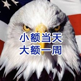 金阳要账公司